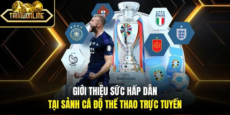 Giới thiệu sức hấp dẫn tại sảnh cá độ thể thao trực tuyến